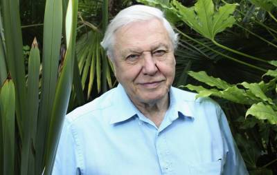 Watch the trailer for David Attenborough’s new climate change doc ‘Breaking Boundaries’ - www.nme.com