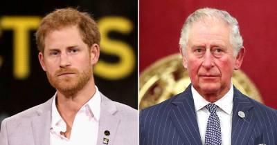 How Prince Harry Plans to Parent Differently Than Prince Charles: I’m Breaking ‘the Cycle’ - www.usmagazine.com