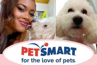 PetSmart Employees CHARGED In Death Of Poodle -- Hear The Shocking Way They Do Their Grooming! - perezhilton.com - Pennsylvania - city Pittsburgh, state Pennsylvania