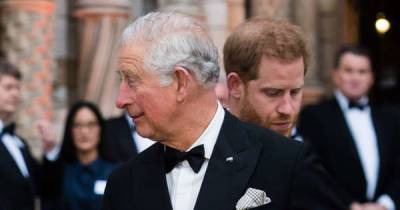 Prince of Wales plans to open royal homes to the public - www.msn.com - city Sandringham