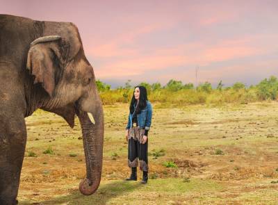 Cher Talks About How She Saved An Elephant In Pakistan: ‘This Is Like A Fairytale Ending’ - etcanada.com - Canada - Pakistan