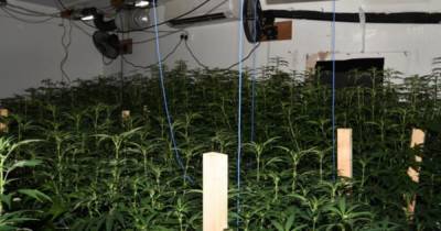 'Large scale' cannabis production factory discovered in warehouse in Bury - www.manchestereveningnews.co.uk - county Lane