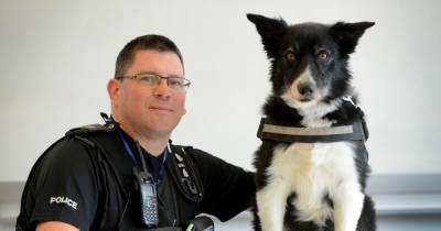 Hero Manchester Arena dog awarded animal OBE dies following 'three years of happy retirement' - www.manchestereveningnews.co.uk - Britain - Manchester