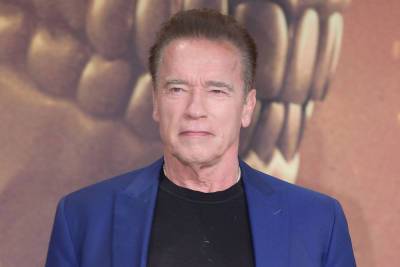 Netflix nabs Arnold Schwarzenegger’s father-daughter spy drama - nypost.com - county Maverick - city Santora