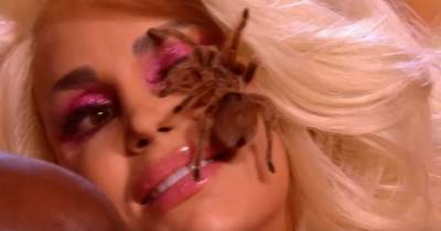 Game of Talents viewers 'traumatised' as woman performs with tarantulas on her face - www.manchestereveningnews.co.uk