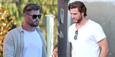 Brothers Chris & Liam Hemsworth Almost Twin While Out To Dinner Together in Sydney - www.justjared.com - Australia