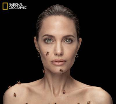 Angelina Jolie Is Covered In Bees As She Poses For Stunning Photo Shoot To Celebrate ‘World Bee Day’ - etcanada.com - county Bee