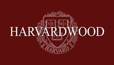 Harvardwood Unveils 2021 Writers Competition & Most Staffable TV Writers List Winners; Mentors Include 20th TV’s Carolyn Cassidy, Diallo Riddle & ‘Veep’ EP David Mandel - deadline.com - city Tinseltown