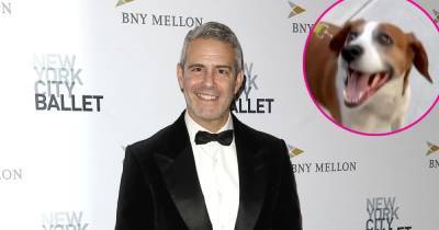 Andy Cohen Reunites With Dog Wacha 1 Year After Rehoming: ‘My Lucky Day’ - www.usmagazine.com