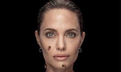 Angelina Jolie raises awareness for conservation efforts by posing while covered with bees - us.hola.com