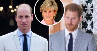 Prince William and Prince Harry Criticize Princess Diana’s BBC ‘Panorama’ Interview After Investigation - www.usmagazine.com
