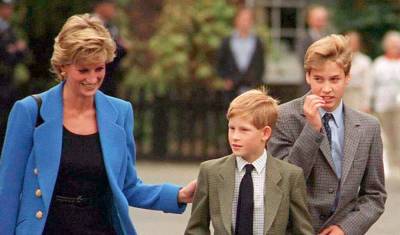 Princes William & Harry Believe That the BBC Interview Led to Princess Diana's Death - www.justjared.com