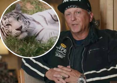 Feds Seize Almost 70 Big Cats From Jeff Lowe's Tiger King Park! - perezhilton.com - USA - Oklahoma