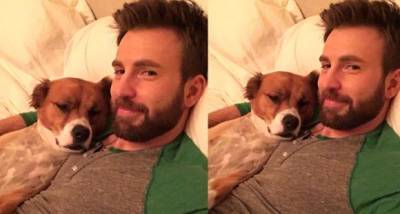 Chris Evans shares an ADORABLE video of his first meet with Dodger on National Rescue Dog Day - www.pinkvilla.com