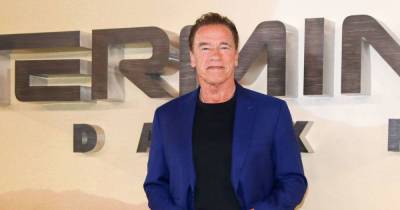 Arnold Schwarzenegger Says the Idea of Death ‘Pisses Me Off’ - www.msn.com