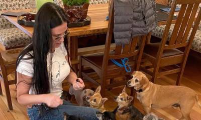 Demi Moore is living with a pack of 9 dogs - us.hola.com - state Idaho