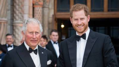 Prince Harry rips Prince Charles' parenting, suggests royal is the reason he 'suffered' - www.foxnews.com - Britain