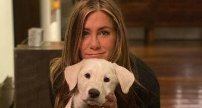 Jennifer Aniston's weekend post is all about spending time with her adorable furry friends - www.pinkvilla.com - Hollywood - county Chesterfield