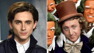 Timothee Chalamet Tapped To Play Willy Wonka In New Origin Tale From Warner Bros. and The Roald Dahl Story Co. - deadline.com