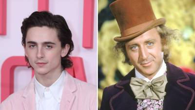 Timothee Chalamet to Play Young Willy Wonka in Warner Bros. Movie - variety.com