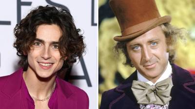 Timothee Chalamet to Star as Willy Wonka in Prequel at Warner Bros - thewrap.com