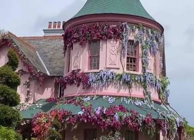 Wicklow house transformed into Disney fairytale pad for Disenchanted - evoke.ie - Ireland