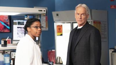 15 Police Procedural Shows Like 'NCIS' That You Can Watch Now - www.etonline.com - New Orleans - Los Angeles - county Harmon