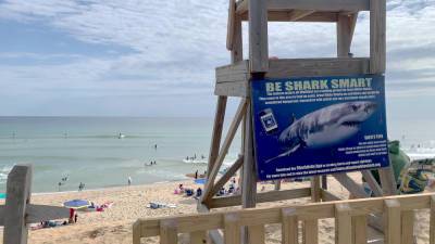 Pic About Great White Shark Surge Off Cape Cod Lurking At HBO Documentary Films; Ivy Meeropol Directing - deadline.com - state Massachusets