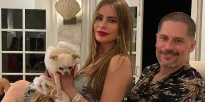 Sofia Vergara Reveals Dog Bubbles Is Very Possessive of Husband Joe Manganiello: 'She Hates Me' - www.justjared.com
