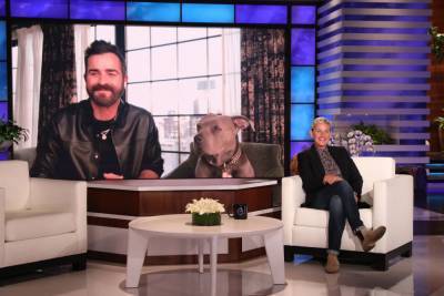 Justin Theroux Looks Back At Having Formal Dinners With His Dog - etcanada.com