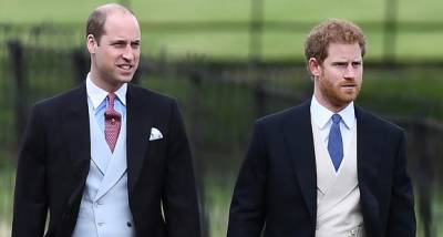Prince William is 'greatly concerned' Prince Harry may 'go too far with his truth bombs' about royal family? - www.pinkvilla.com