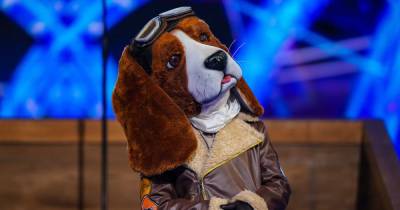Masked Dancer viewers convinced Beagle is Flamingo Louise Redknapp's ex-husband Jamie - www.ok.co.uk