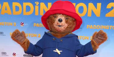 'Paddington 2' No Longer Has a Perfect Score on Rotten Tomatoes - Find Out Why! - www.justjared.com