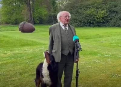 WATCH: President Michael D Higgins’ interrupted during interview by his pup - evoke.ie