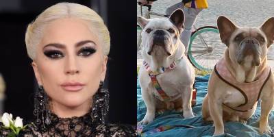 Men Who Stole Lady Gaga's Dogs Did Not Know They Belonged to Her - New Details Revealed - www.justjared.com - France