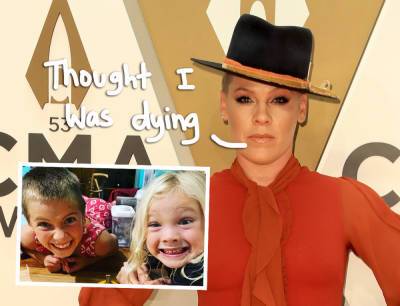 Pink Admits She 'Rewrote' Her Will During 'Really Scary' Coronavirus Battle! - perezhilton.com