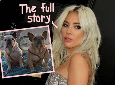 Ryan Fischer - James Jackson - Lady GaGa’s Dog Walker Tailed By Suspects -- New Details On Infamous Dognapping - perezhilton.com - county Lafayette