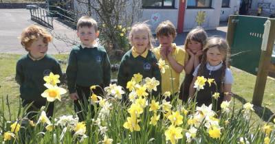 Auchencairn pupils show their green fingers - www.dailyrecord.co.uk
