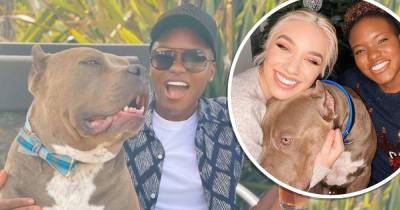 Nicola Adams has been criticised for owning a dog with cropped ears - www.msn.com