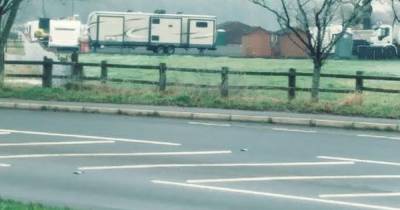 Landowner who put caravans on green belt field gets suspended prison sentence - www.manchestereveningnews.co.uk