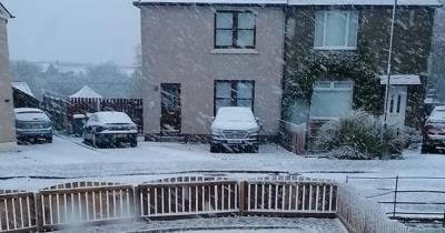 Falkirk residents wake to snow as weather warning is issued - www.dailyrecord.co.uk - Scotland