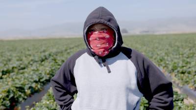 ‘Fruits of Labor’ Review: A Mexican American Family’s Struggles in Central California - variety.com - USA - California - Mexico - county Harvey