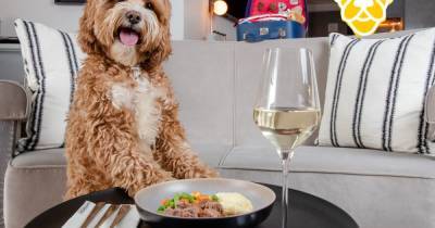 Hilton launches new menu for deserving dogs who supported owners through the pandemic - www.dailyrecord.co.uk - Britain