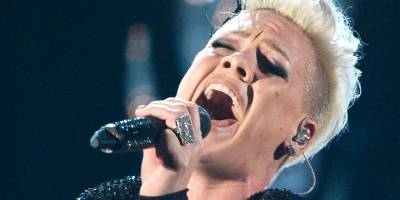 How Much Is Pink Worth? Net Worth Revealed! - www.justjared.com