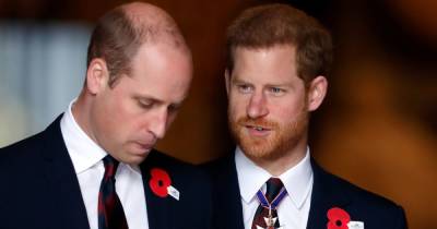 Pal of Harry and William say pair have been 'arguing for 18 months' and relationship 'difficult' - www.dailyrecord.co.uk