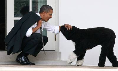Barack & Michelle Obama Mourn the Death of Their Dog Bo - Read Their Emotional Statements - www.justjared.com