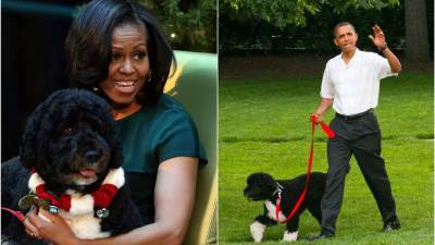 Barack and Michelle Obama Mourn the Loss of Their Family Dog, Bo - www.glamour.com