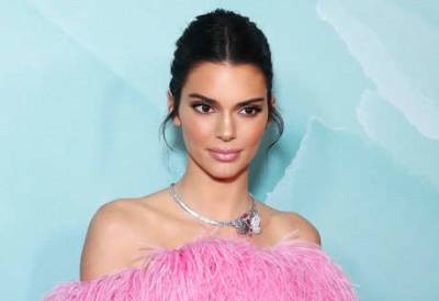 Kendall Jenner responds to critics who say her ‘privilege’ exempts her from having anxiety - www.msn.com