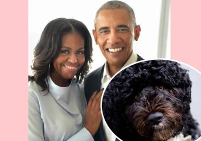Barack & Michelle Obama Mourn The Death Of Their Beloved Dog & ‘Loyal Companion’ Bo - perezhilton.com - Portugal