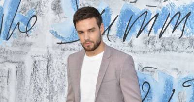 Liam Payne teaching his son how to swim: 'It's tough to know the right balance' - www.msn.com
